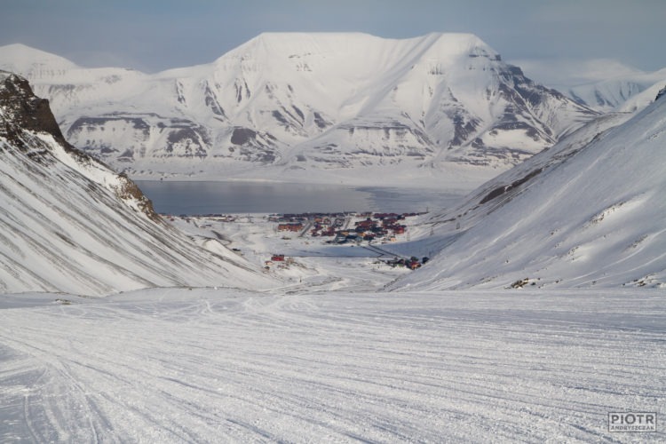 Kierunek: Spitsbergen. W jakich językach mówi Arktyka?